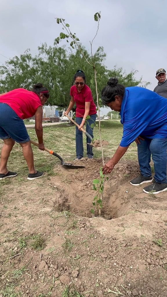 Gobierno de Reynosa reforesta y embellece Plaza de San Valentín – Administración Municipal Reynosa 2021-2024