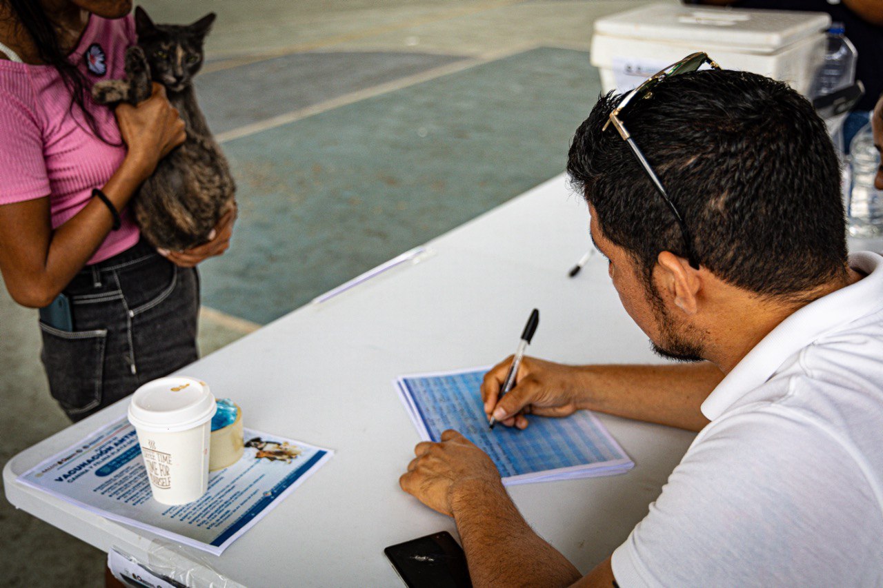 Realizan por primera vez, censo canino y felino en Solidaridad – H. Ayuntamiento de Solidaridad