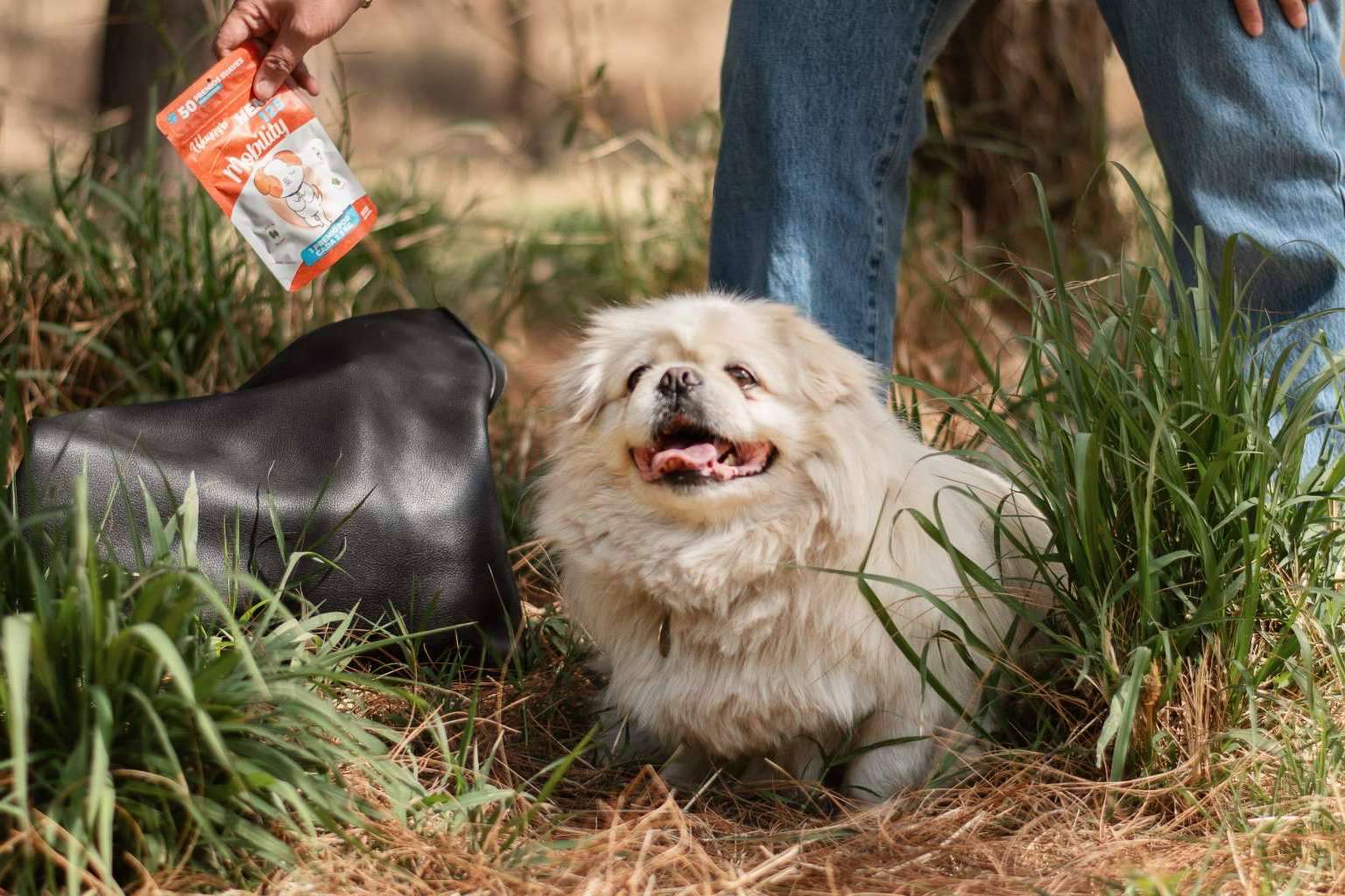 Premios con CBD para perros y mascotas. ¿Valen la pena?