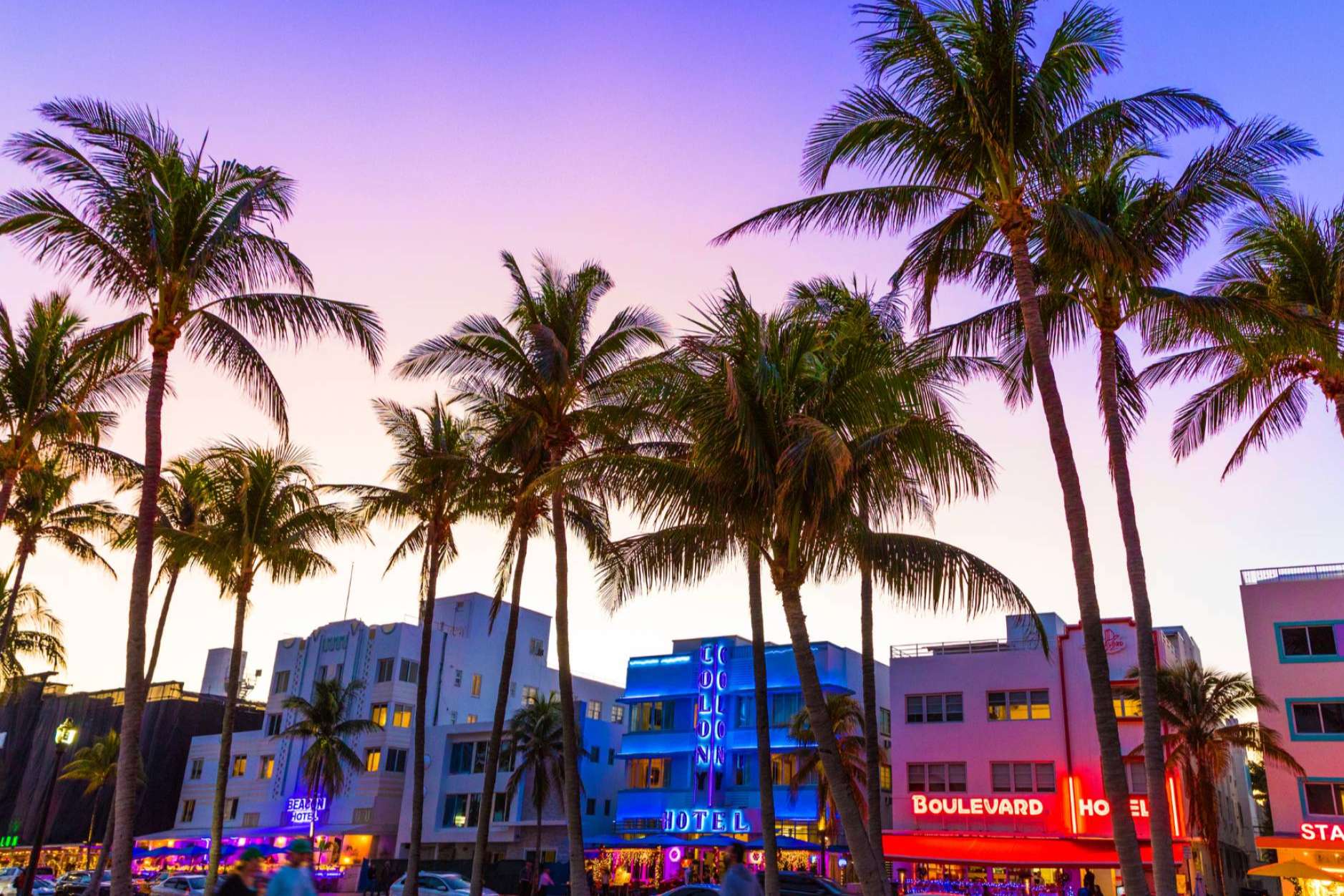 Noche VIP en unas de las mejores discotecas de Miami